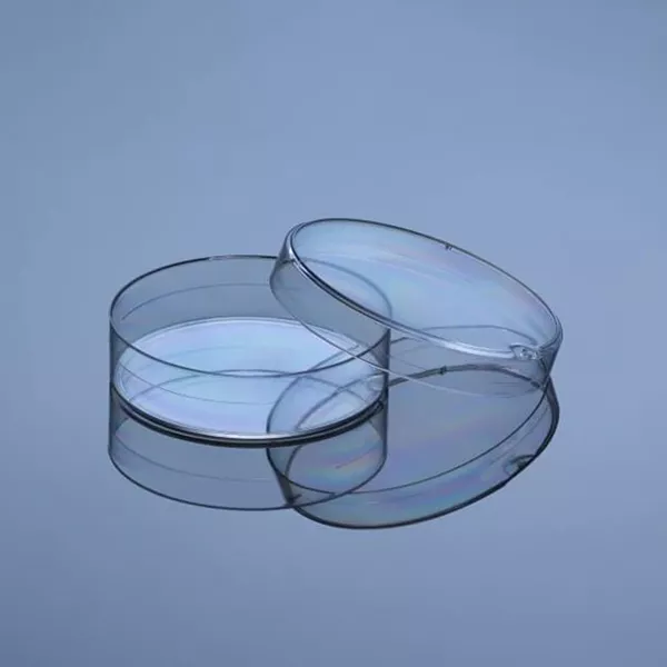 60x15 mm Petri Dish