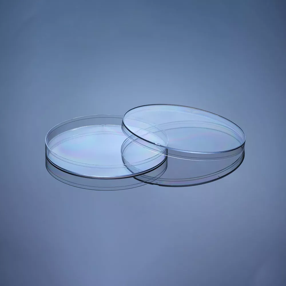 150x15 mm Petri Dish